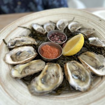 Ocean Social - Oysters 12 pieces - Breakfast & Brunch Near Me - Miami Beach, Florida Ocean Social - Oysters 12 pieces - Breakfast & Brunch Near Me - Miami Beach, Florida