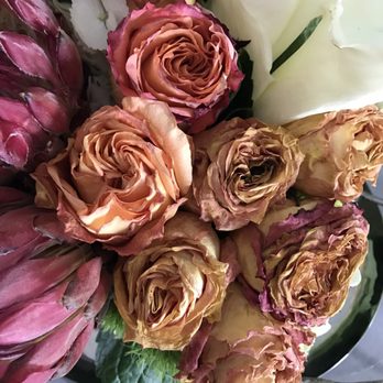 Blooming Flowers - Dead in 4 days - Florists Near Me - Key Biscayne, Florida Blooming Flowers - Dead in 4 days - Florists Near Me - Key Biscayne, Florida