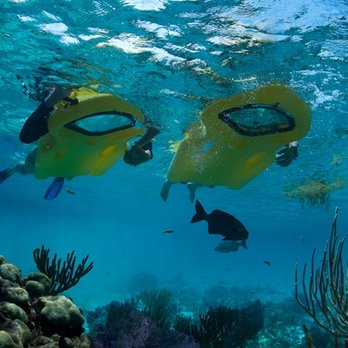 ReefBoard Rentals - Rafting/Kayaking Near Me - Inlet Beach, Florida ReefBoard Rentals - Rafting/Kayaking Near Me - Inlet Beach, Florida