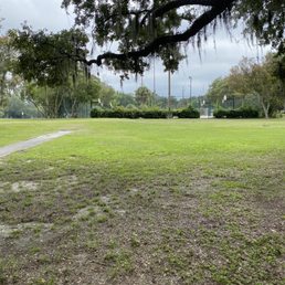 Lots of open space Lots of open space