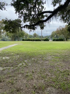 Daffin Park by null