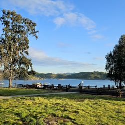 Millerton Lake State Recreation Area - Nice open areas to enjoy the lakeview