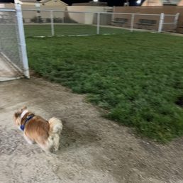 Dog park Dog park