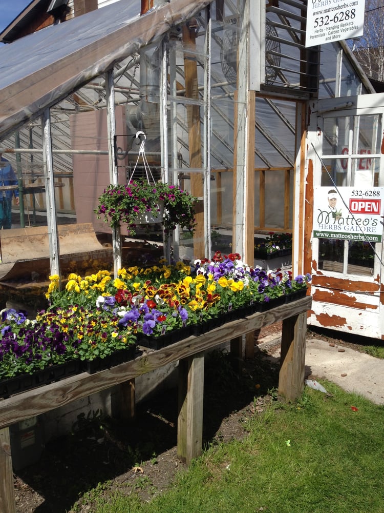 MATTEO’S HERBS GALORE Updated September 2024 139 C St, Johnstown