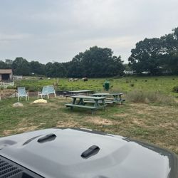 Blackbird Farm - Farm