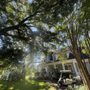 Photo of Danny McClain's Tree Care