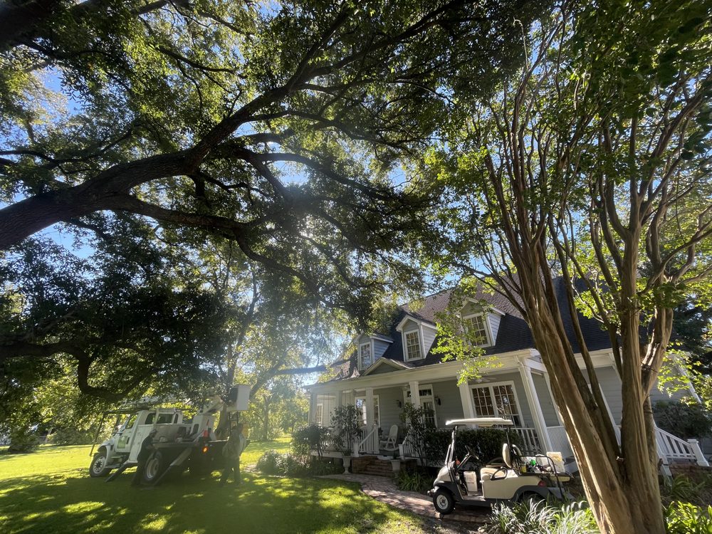Danny McClain's Tree Care - tree service in Ocean Springs, MS