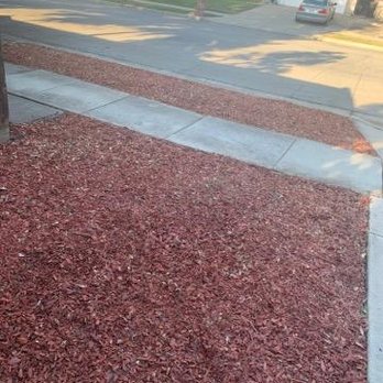 La Sierra Quality Landscape - Landscaping Near Me - San Martin, California La Sierra Quality Landscape - Landscaping Near Me - San Martin, California