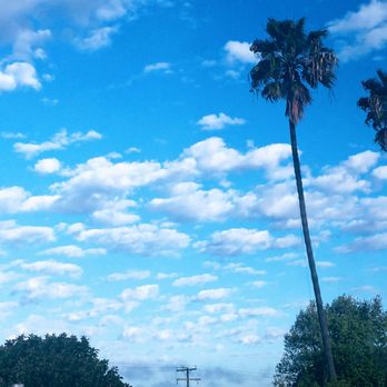 Palms Garden Apartments - Apartments Near Me - Torrance, California Palms Garden Apartments - Apartments Near Me - Torrance, California