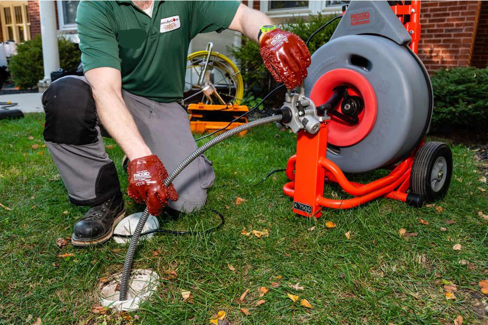 Slide of Roots Be Gone - Cleveland