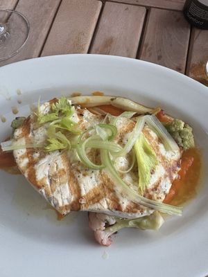 Barbuto Brooklyn by null