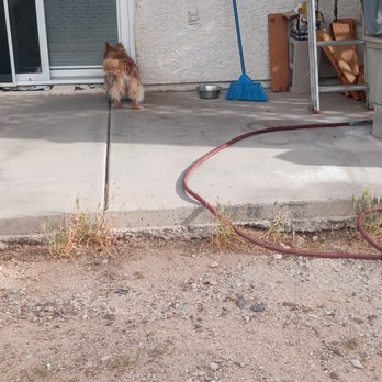 Concrete Overlay - Backporch Before - Flooring Near Me - Tucson, Arizona