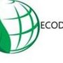 Photo of Ecodry Cleaning Service Inc
