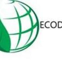 Ecodry Cleaning Service Inc