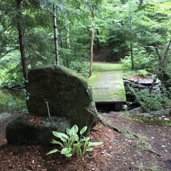 Potter's Place Camping - Can't wait to be back walking hiking on private camp property over 30+ miles  or 47+ km