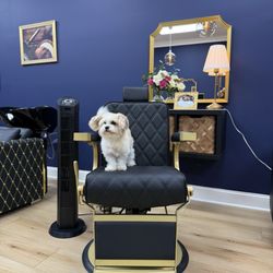 The Barber Lounge - Lollie