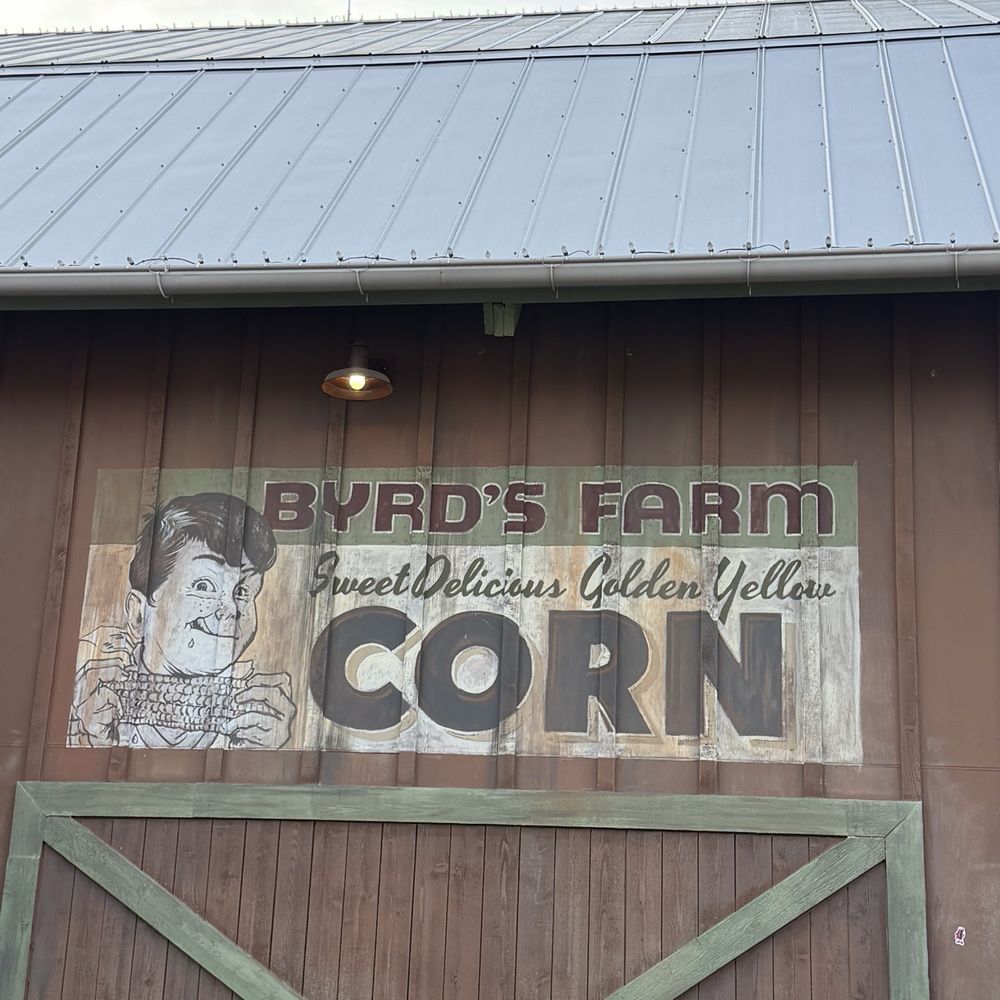 Copperhead Strike - What's in this shed? - Amusement Parks Near Me - Charlotte, North Carolina