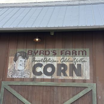 Copperhead Strike - What's in this shed? - Amusement Parks Near Me - Charlotte, North Carolina