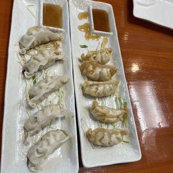 Momo Sushi - Vegetable gyoza - Japanese Near Me - Ann Arbor, Michigan