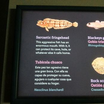 Monterey Bay Aquarium - They have everything here! - Aquariums Near Me - Monterey, California