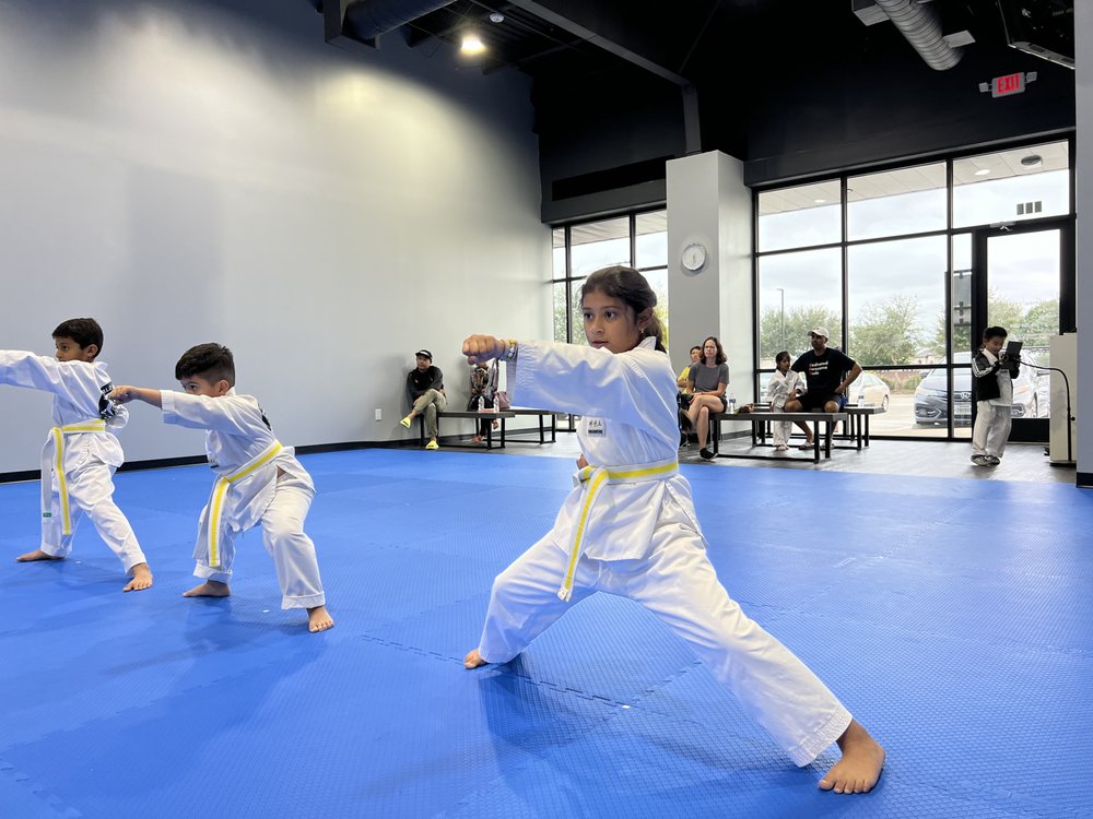 Master D. Choi Taekwondo Logo