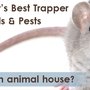 Greene County Wildlife & Rodent Control