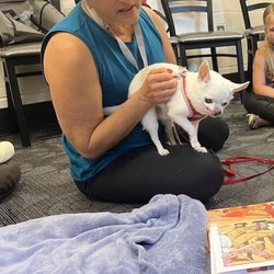 Bucks County Free Library - Reading to the dogs event at the library . Every other Friday