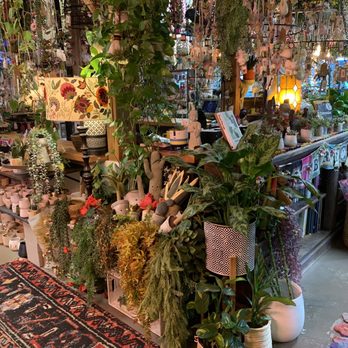 Tansy - Home Decor Near Me - Burbank, California