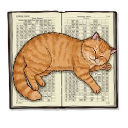 Herding Cats Accounting