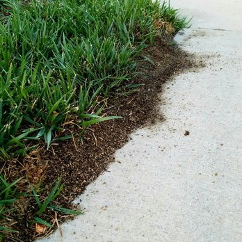 X-Terminator Pest Control - California fire ants like to turn up dirt at night - Pest Control Near Me