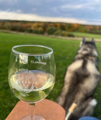 Hawk Ridge Winery by null