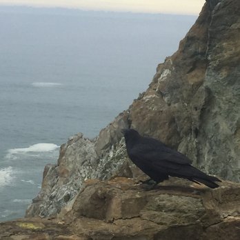 Devil's Slide Coastal Trail - Chillin with a Local - Hiking Near Me - Pacifica, California