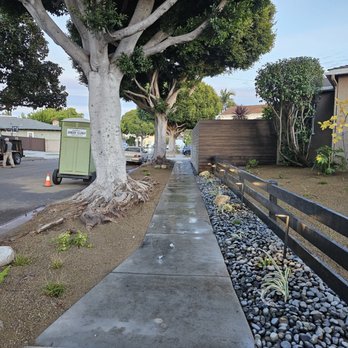 Belvedere Landscape Design - Moments after completion. Looking forward to the plants growing & filling in. - Landscape Architects or Designers Near Me Belvedere Landscape Design - Moments after completion. Looking forward to the plants growing & filling in. - Landscape Architects or Designers Near Me