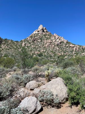 Pinnacle Peak by null