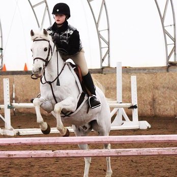 Belle Wood Equestrian - Silver Lining Schooling at Home - Horseback Riding Near Me - Greenwood, Ontario Belle Wood Equestrian - Silver Lining Schooling at Home - Horseback Riding Near Me - Greenwood, Ontario