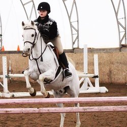 Belle Wood Equestrian - Silver Lining Schooling at Home