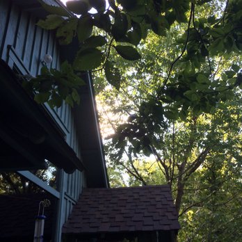 Treehouse Cottages - Vacation Rentals Near Me - Eureka Springs, Arkansas Treehouse Cottages - Vacation Rentals Near Me - Eureka Springs, Arkansas