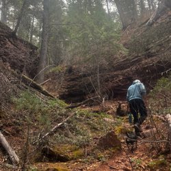 Down Valley Park - Hikes