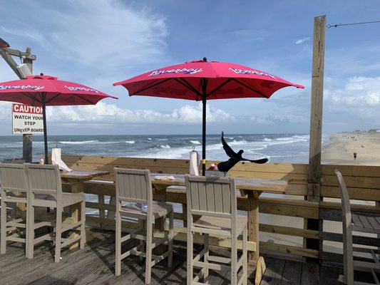 Fish Heads Bar & Grill by null