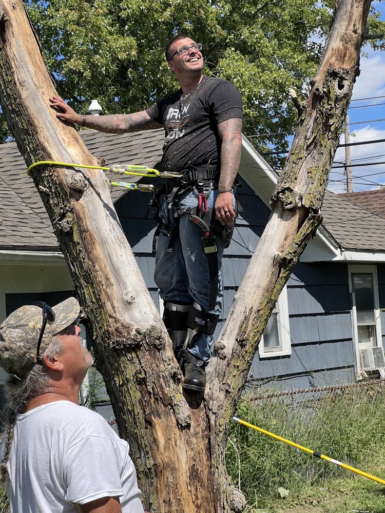 Pennington’s Tree Service - tree service in Columbus, OH