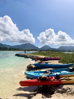 Kailua Beach Adventures by null