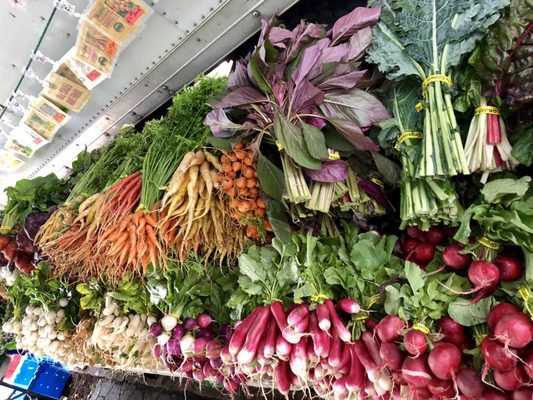 Tompkins Square Park Greenmarket by null