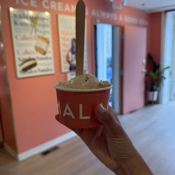 Malai - Peanut crunch - Ice Cream & Frozen Yogurt Near Me - Philadelphia, Pennsylvania
