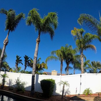 Ortega's Jr Tree Service - Tree trimming by Ortega Jr - Tree Services Near Me - Riverside , California Ortega's Jr Tree Service - Tree trimming by Ortega Jr - Tree Services Near Me - Riverside , California