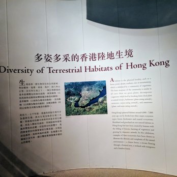香港歷史博物館 - Prehistoric Exhibit - Museums Near Me - Hong Kong, HK