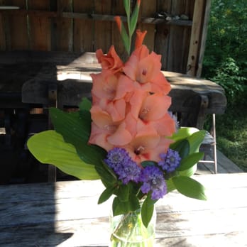 Tracie's Community Farm - a vase of gladflowers - CSA Near Me - Fitzwilliam, New Hampshire Tracie's Community Farm - a vase of gladflowers - CSA Near Me - Fitzwilliam, New Hampshire