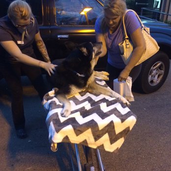 Escondido Veterinary Emergency - thank you so much for the best care to my old Harley girl ! - Emergency Pet Hospital Near Me - Escondido, California Escondido Veterinary Emergency - thank you so much for the best care to my old Harley girl ! - Emergency Pet Hospital Near Me - Escondido, California