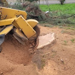 Mid-Valley Tree Service
