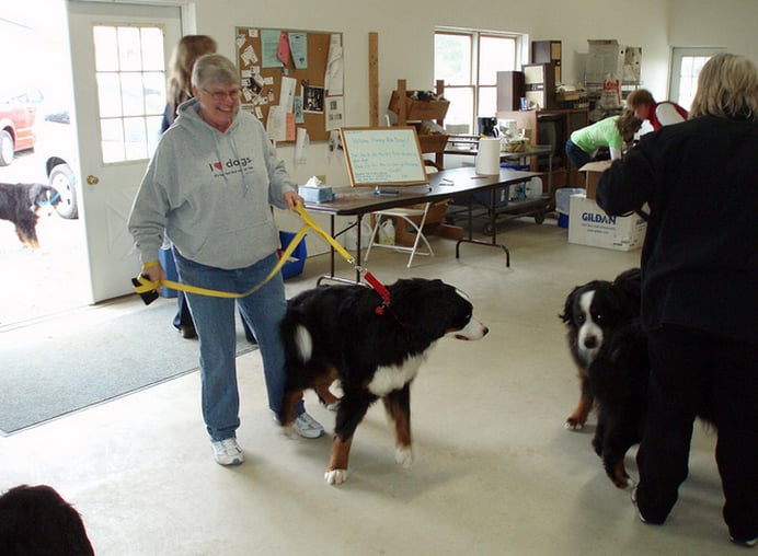 Arboroads Farm - pet boarding facility in Ann Arbor, MI
