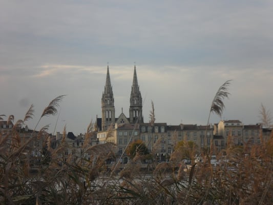 Parc aux Angéliques by null